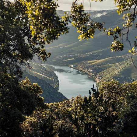 Original Douro Hotel Peso da Régua Εξωτερικό φωτογραφία